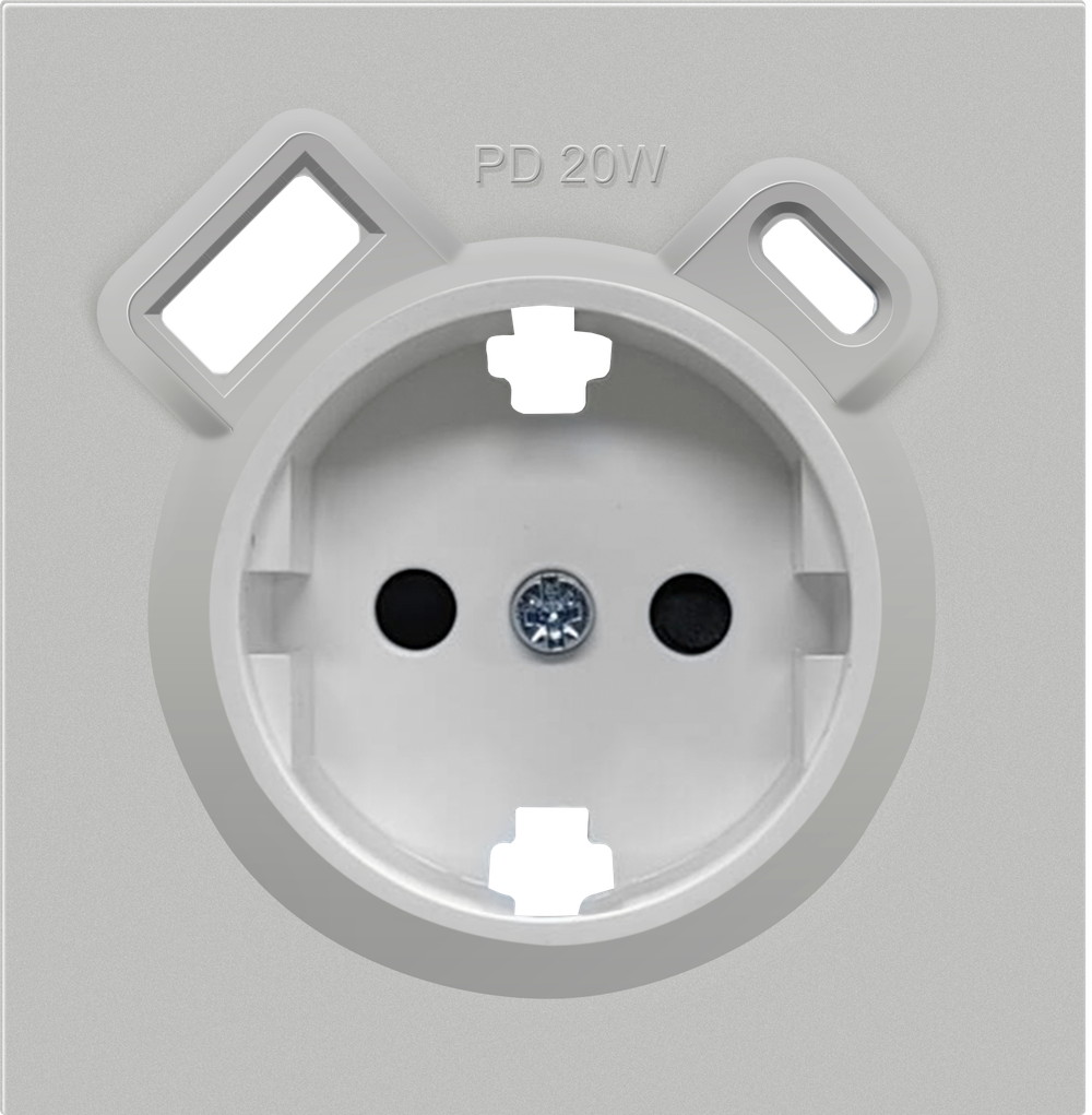 Накладка для розетки Schuko с зарядным устройством USB A+C, с защитными шторками, матовый серый, серия R98