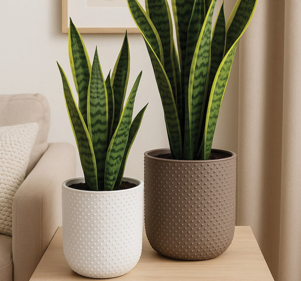 Кашпо БАБЛ 235 мм 4 л со вставкой М3253