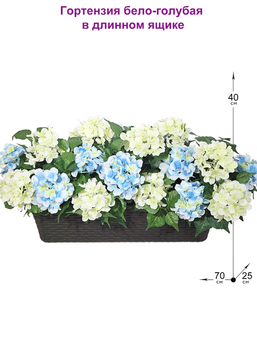 Искусственные цветы Гортензия бело-голубая 70см в балконном ящике ротанг