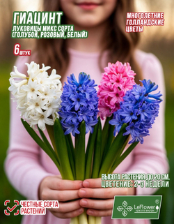 Гиацинт Луковицы, Микс сортов, 6шт