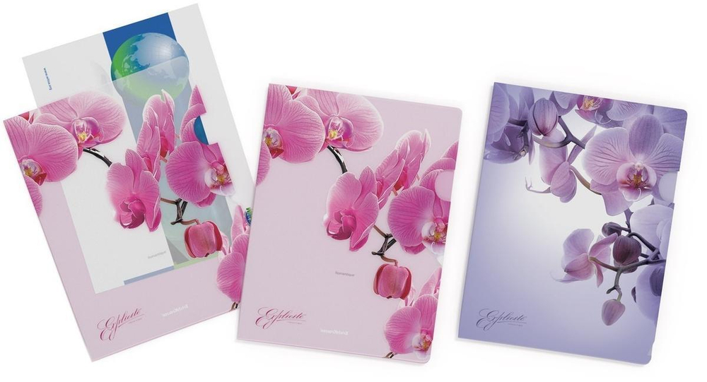 Папка-уголок А4 4 шт. Romantique (Erich Krause)