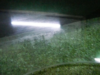 DSCN9678.jpg
