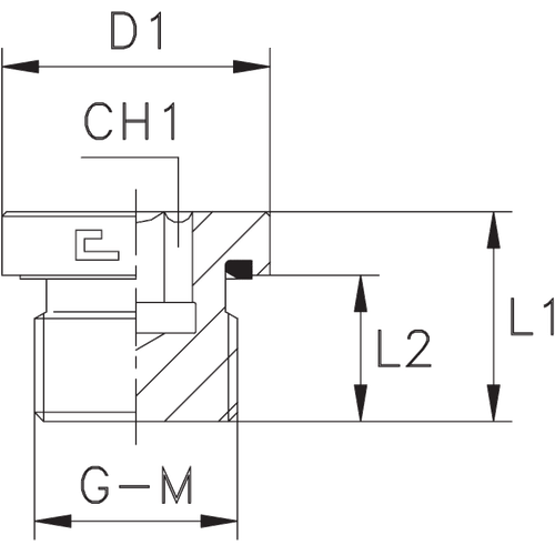 Заглушка VE М26x1.5
