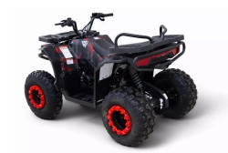 Квадроцикл бензиновый MOTAX GRIZLIK Y300