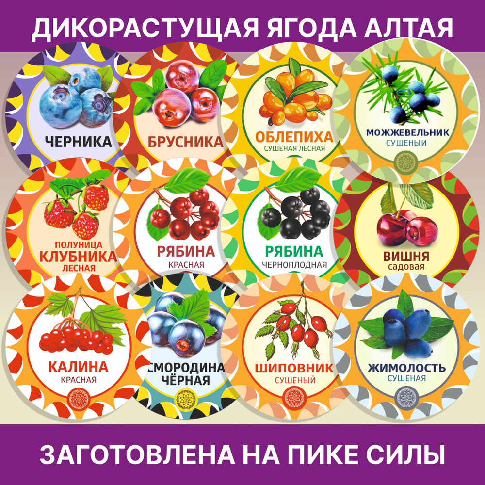 Черемуха чёрная Алтайская.