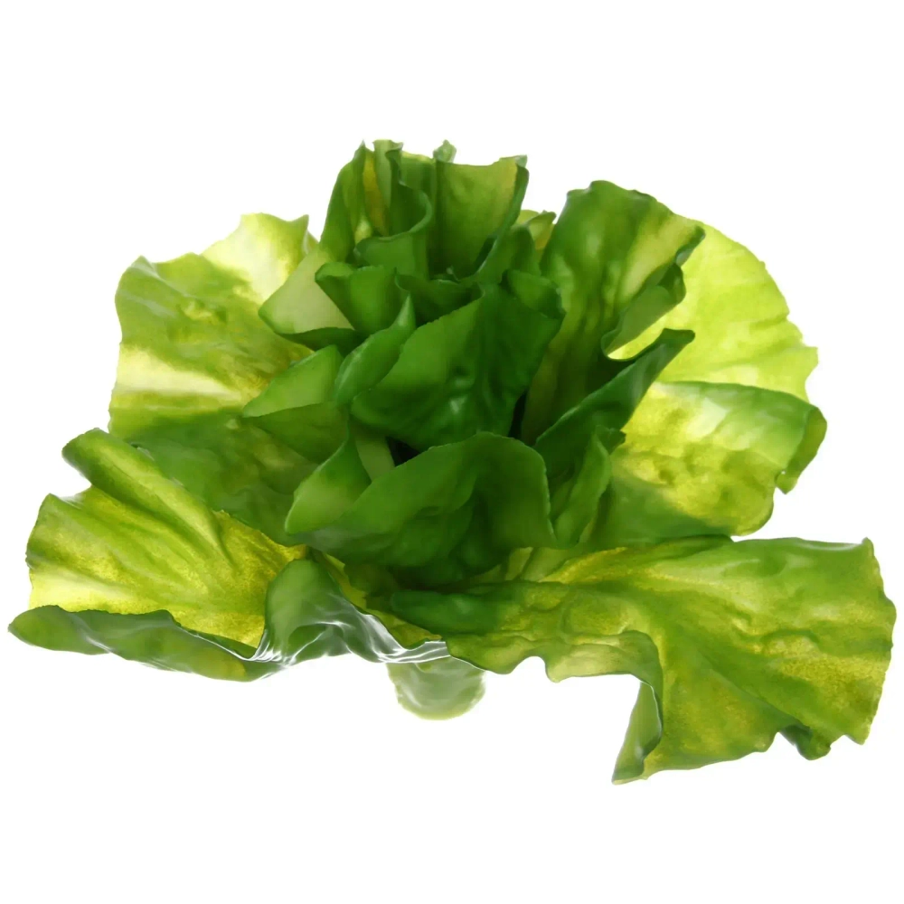 Муляж «Салат Латук» 17*15см