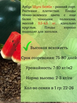 Семена Арбуз набор