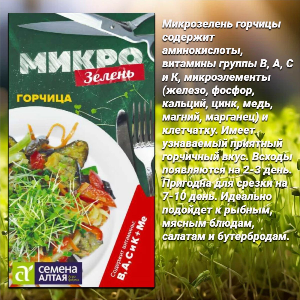 Микро зелень для здорового питания: горох, кресс-салат, базилик, горчица