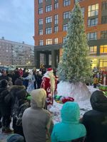 Уличная елка ствольная "Альпийская изумрудная" (пвх бело-зелёная) 19 м