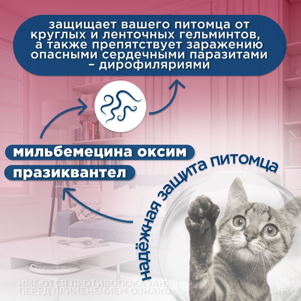 Таблетки против гельминтов Мильбемакс глистогон для кошек до 2кг и котят