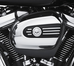 61300654 Willie G Skull ВСТАВКА В КРЫШКУ ВОЗД. ФИЛЬТРА 17-later Touring -35%