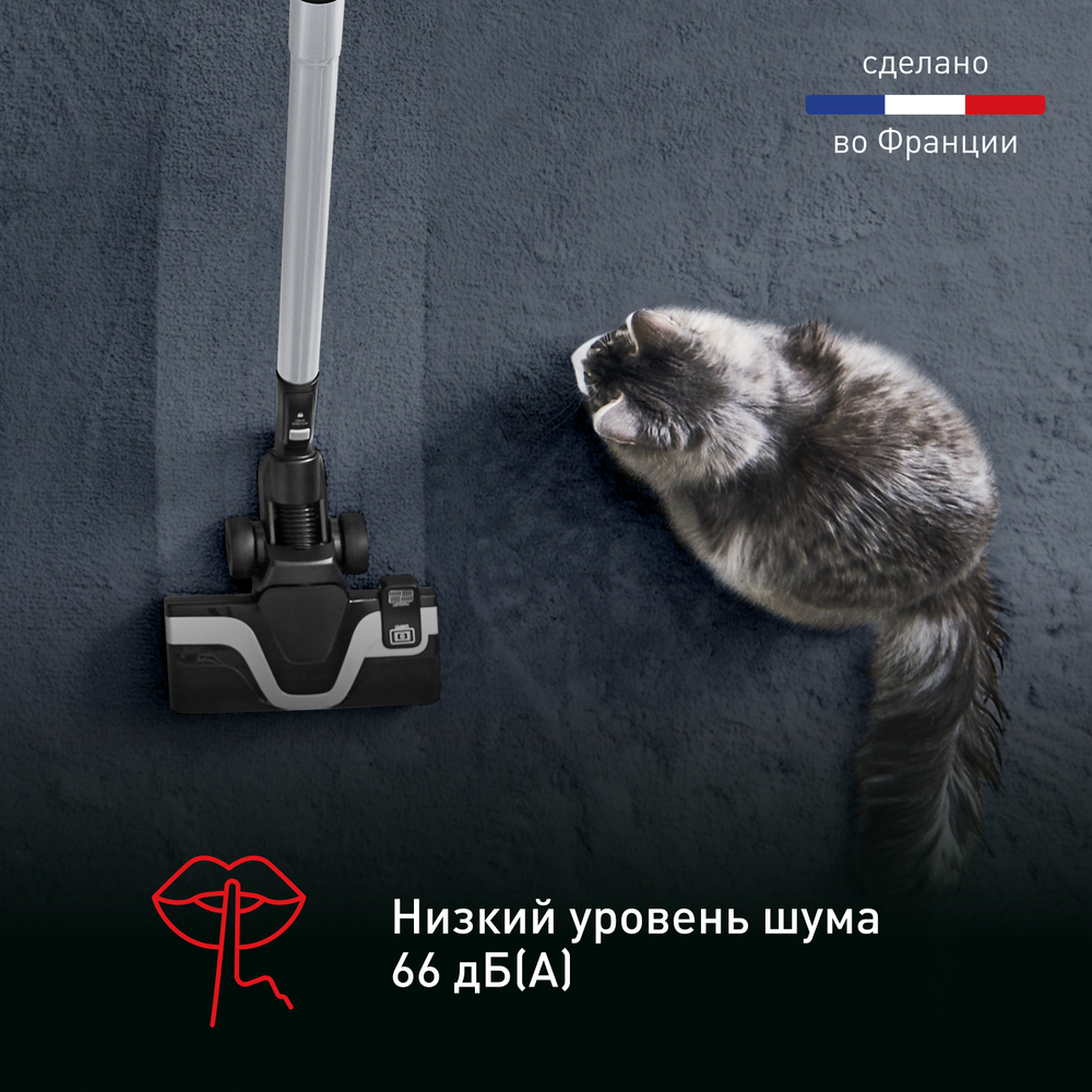 Пылесос Tefal X-Trem Cyclonic Effitech TW7C89EA