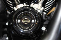 FAT BOY® 114 30TH ANNIVERSARY LIMITED EDITION