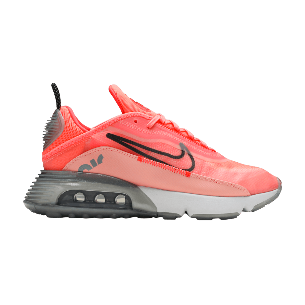 Кроссовки Nike Air Max 2090 (Женская размерная сетка)