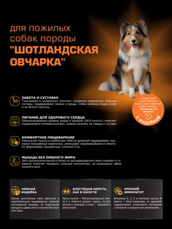 Корм сухой для пожилых собак породы Шотландская овчарка старше 5 лет, с индейкой, 3 кг, QUATTRO