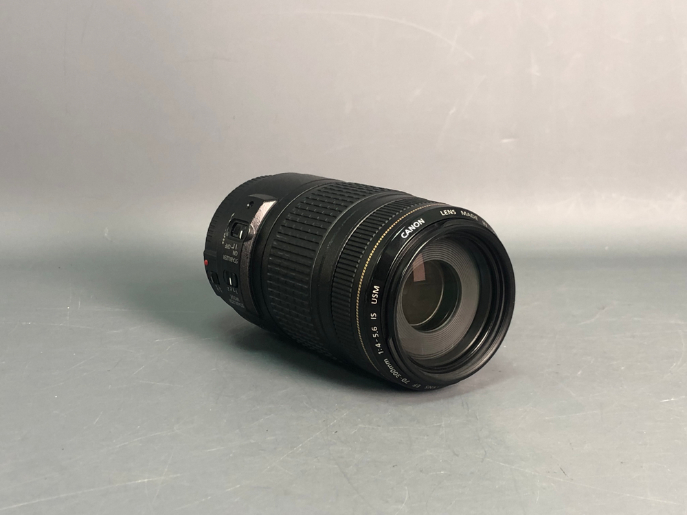 Canon EF 70-300 4-5.6 IS USM