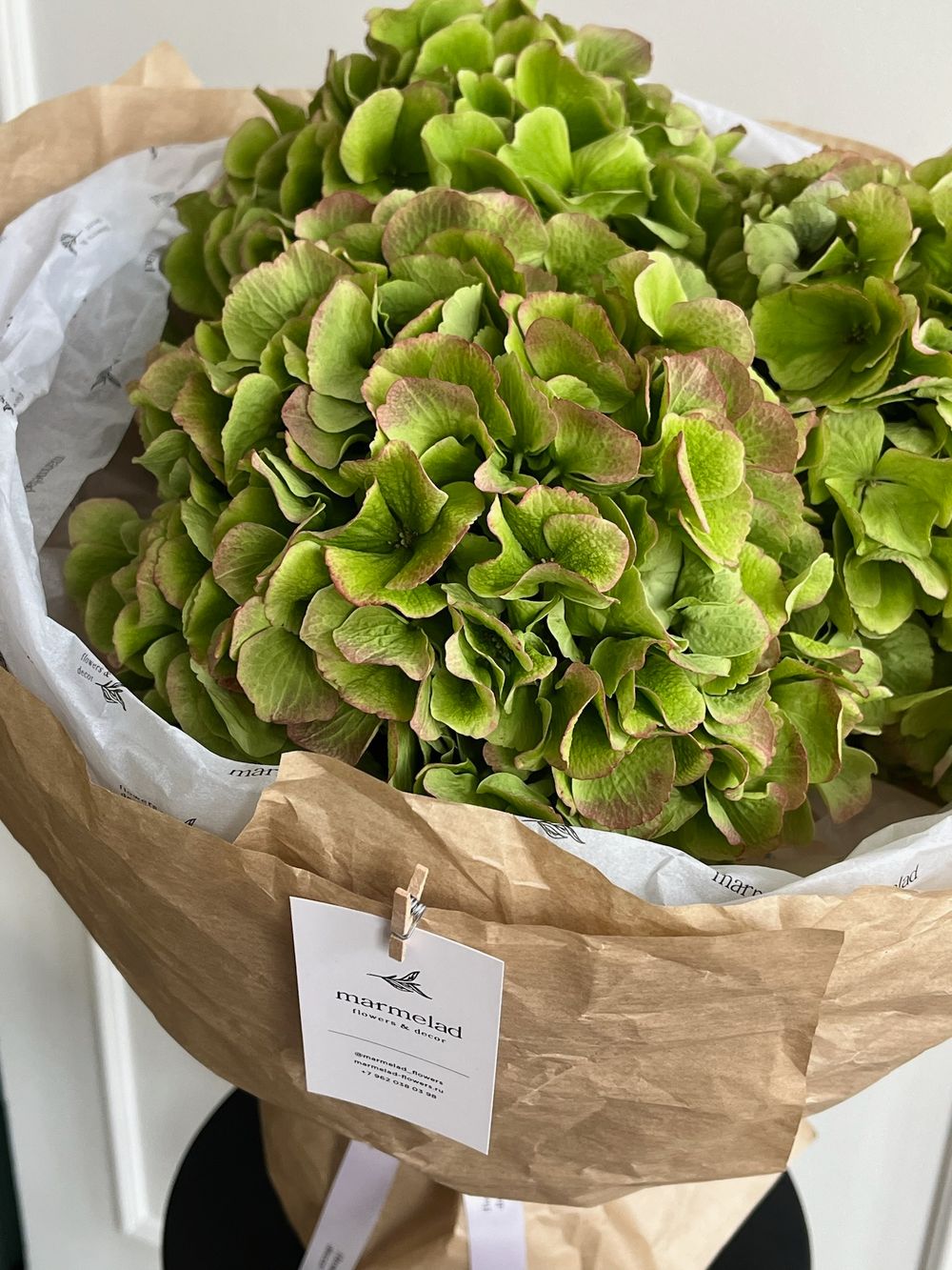 Моно букет из гортензии зеленого оттенка