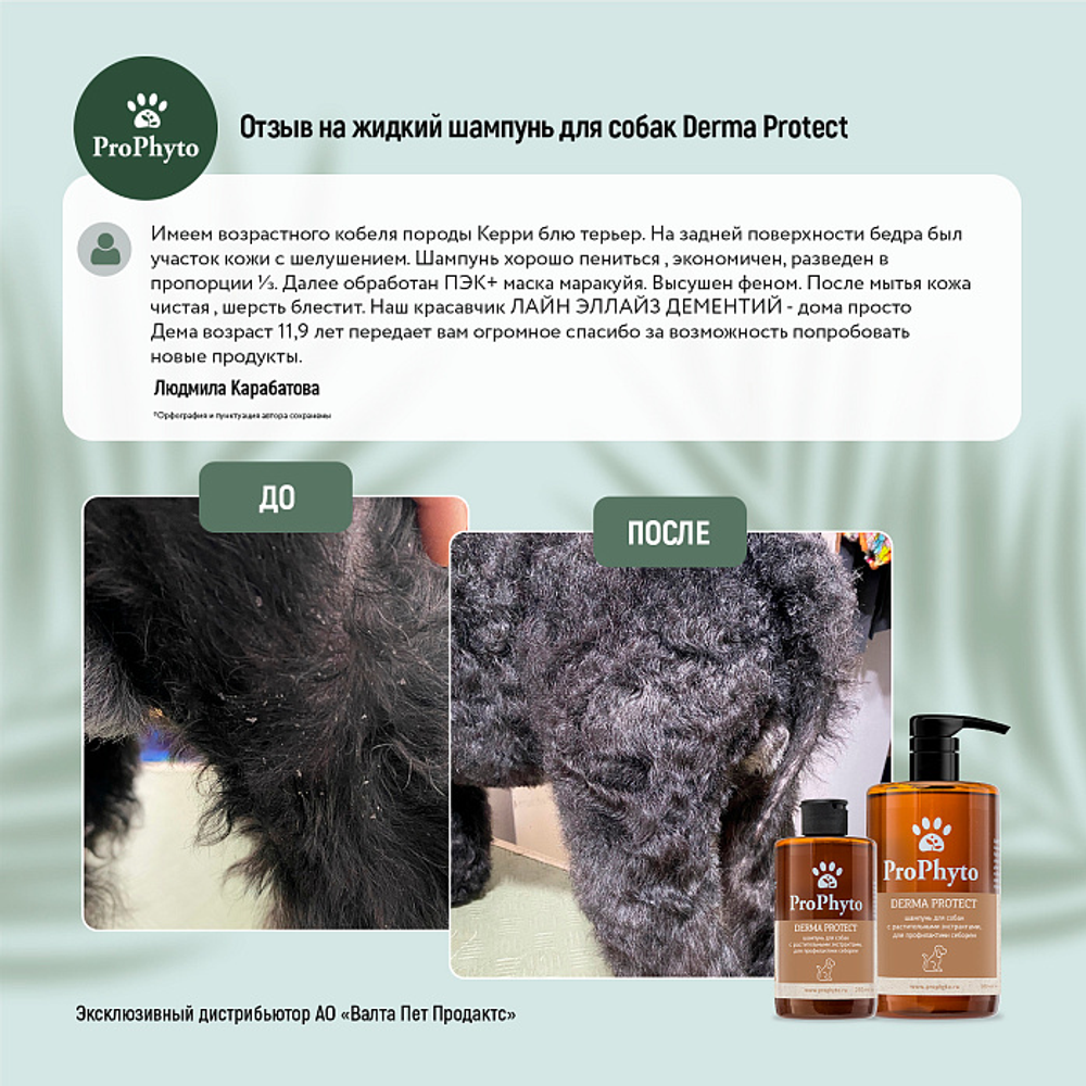 Жидкий шампунь ProPhyto DERMA PROTECT SHAMPOO для собак с растительными экстрактами против перхоти и себореи, 500 мл