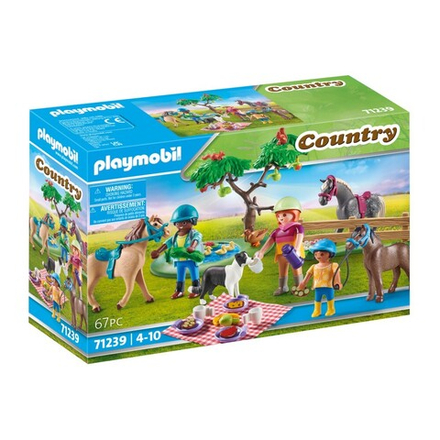 Playmobil - Пикник-тур на лошадях по сельской местности 71239 / артикул   71239  / GTIN 4008789712394