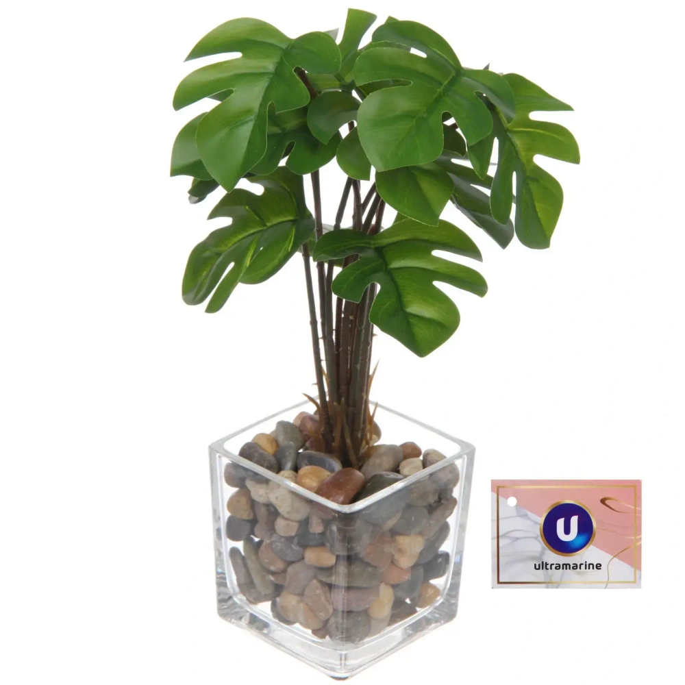 Цветочная композиция в стеклянном горшке «Монстера» 10*22см HL-19