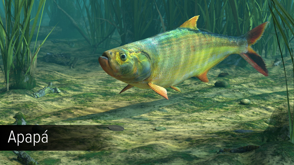 Ultimate Fishing Simulator - Amazon River (для ПК, цифровой код доступа)
