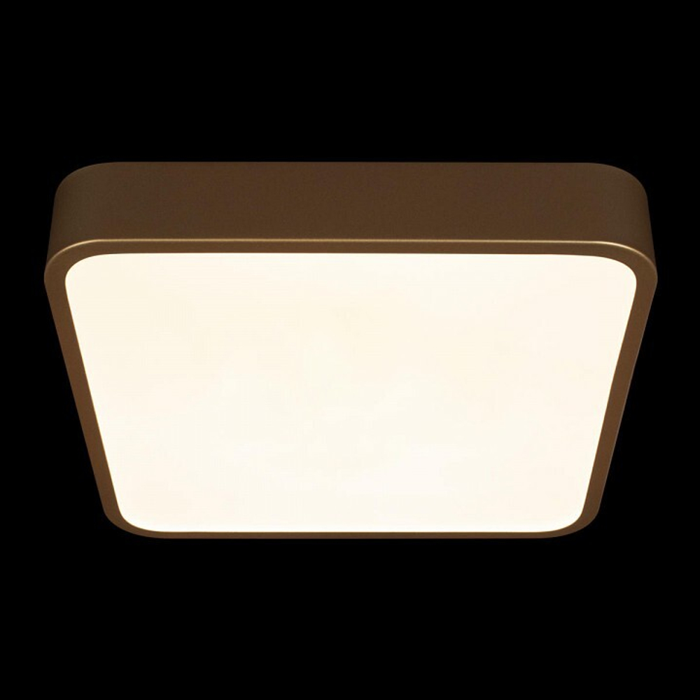 Накладной светильник Loft it Flims 10228/C