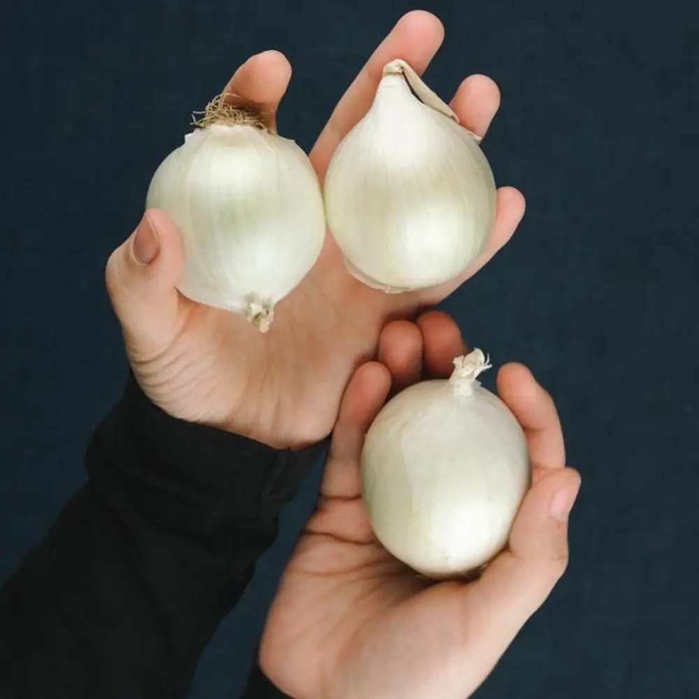Лук репчатый белый "О, Батат", 500 г (цена указана за 500г, вес может отличаться)