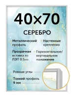 Металлическая рамка 40х70 см