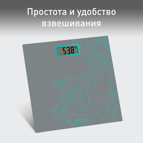 Напольные весы Tefal Premiss Maps Silver PP1435V0