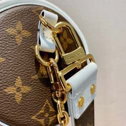 Louis Vuitton Papillon Trunk