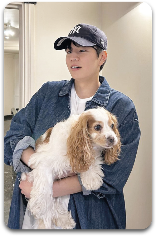 Карта / STRAY KIDS #1968