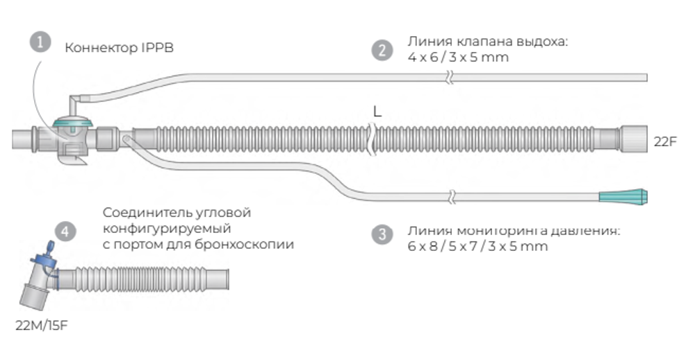 Контуры IPPB гофрированные взрослые, ø 22 мм (Наименование: Для Newport® HT50, Длина контура, L: 200 см, Упаковка (инд./тр.): 1/30)