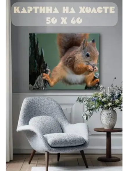 Картина на стену 40 X 50 Белка