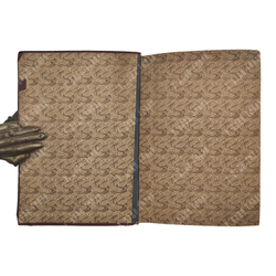 Поволжье : Природа, быт, хозяйство Путеводитель по Волге, Оке, Каме, Вятке и Белой, 1925.