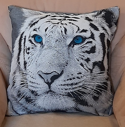 Наволочка для декоративной подушки Топаз 47х47