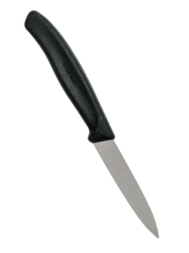 Кухонный нож для чистки овощей и фруктов Victorinox Cutlery модель 6.7603