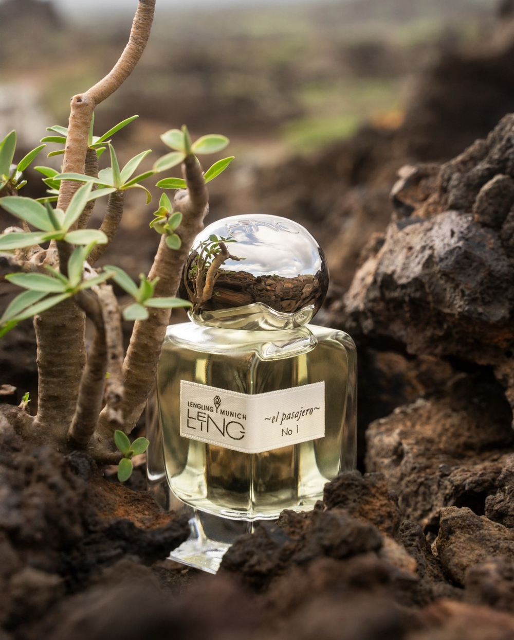 Lengling El Pasajero 1