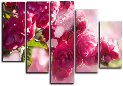 Модульная картина "Розовый пион"