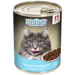 Зоогурман корм консервированный для кошек big cat