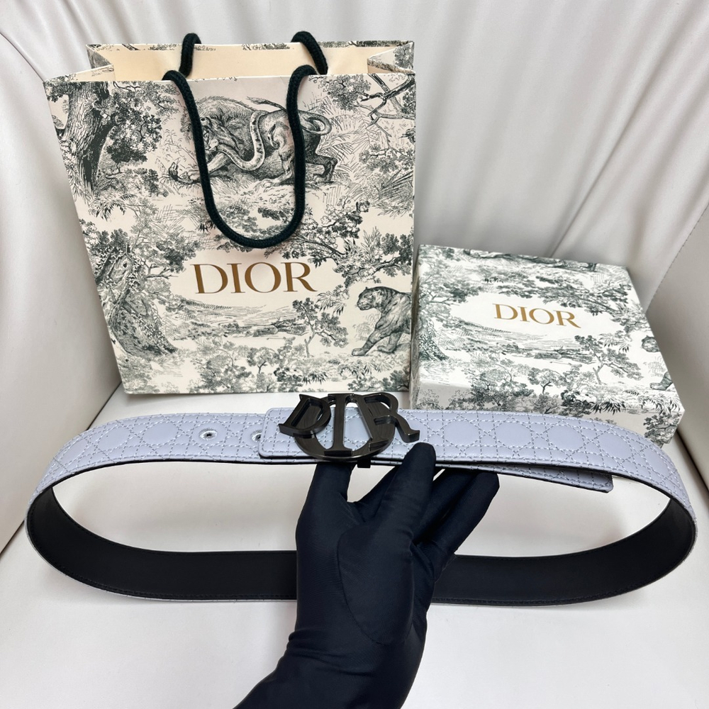 Christian Dior Reversible Belt