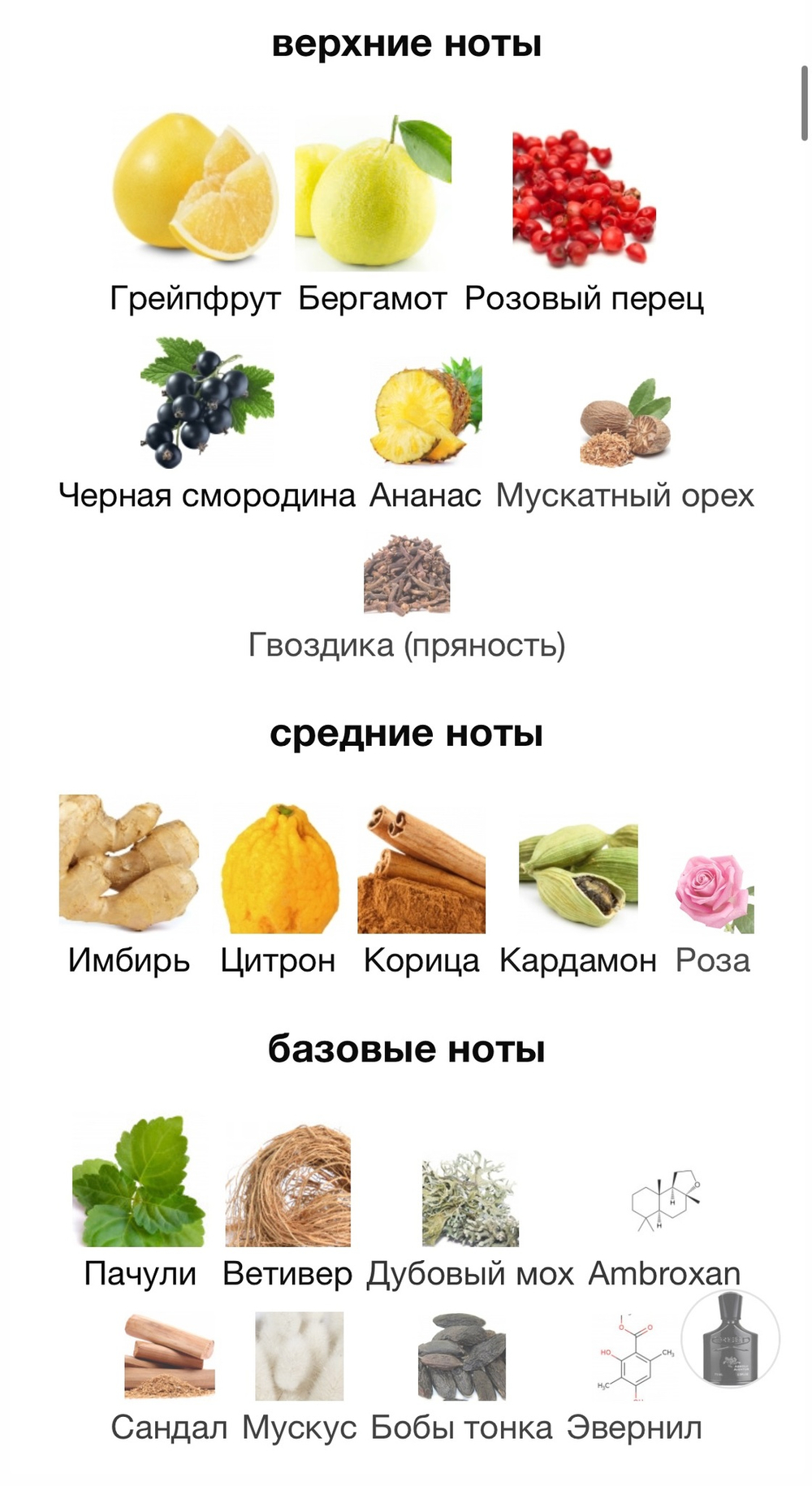 Absolu Aventus Creed