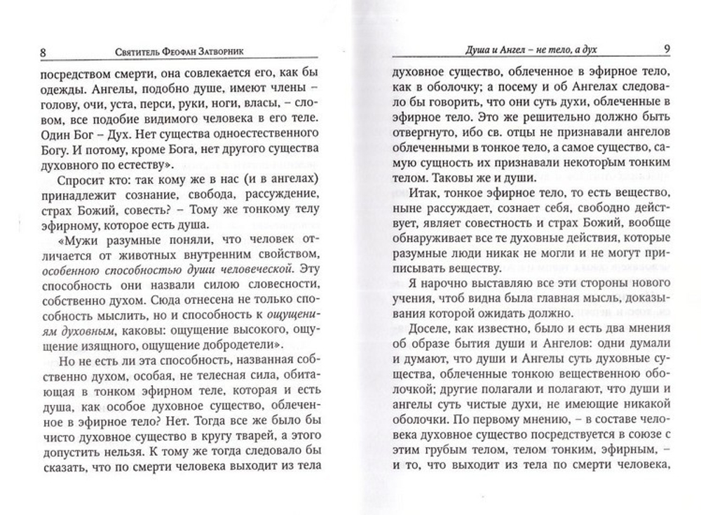 Душа и Ангел. Святитель Феофан Затворник