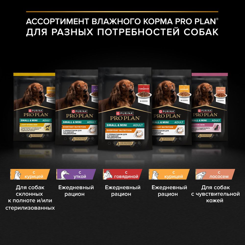 Пауч Pro Plan Everyday Nutrition для собак мелких и карликовых пород с говядиной Пауч Pro Plan Everyday Nutrition для собак мелких и карликовых пород с говядиной