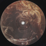 Linkin Park / The Hunting Party (2LP)