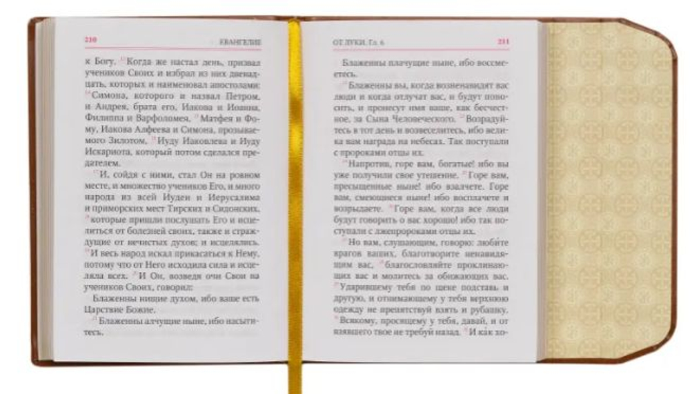 Святое Евангелие кожа (экокожа) с магнитным клапаном и золотым обрезом на русском языке. Подарочное издание
