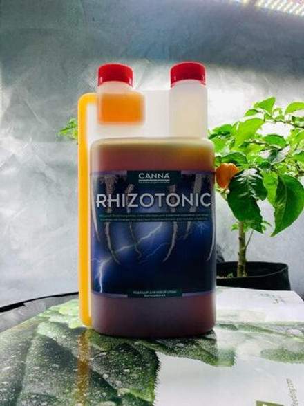 Canna Rhizotonic 1 л