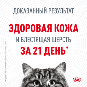 Корм для кошек, Royal Canin Hair & Skin Care, здоровье шерсти и кожи, в возрасте от 1 года и старше