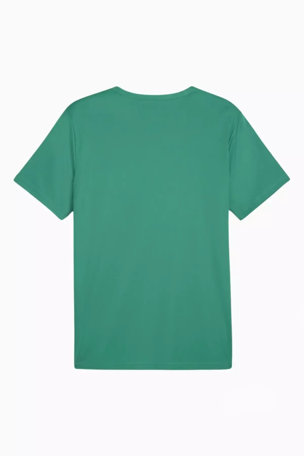 Футболка Puma teamRISE Matchday