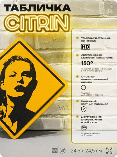 Табличка декоративная "Тейлор Свифт, Taylor Swift" на дверь и стену, прикольная штука в подарок, декоративный знак, 24,5х24,5 см, пластиковая, Айдентика Технолоджи