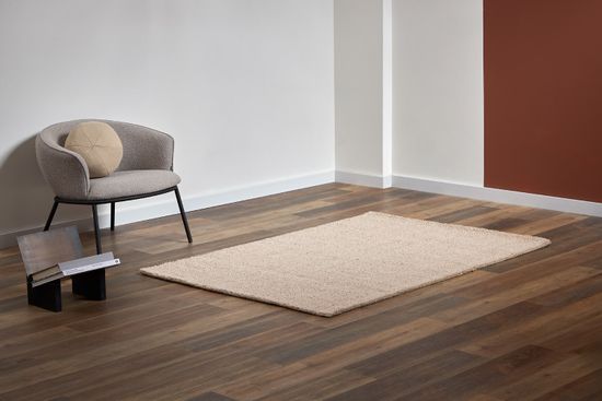 Ковер из шерсти salem бежевого цвета из коллекции ethnic, 60x90 см